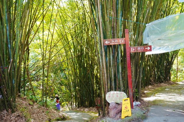 欽州八寨溝，遠離喧囂、盡享自然之美的仙境