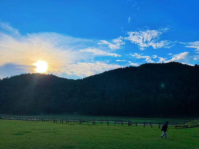 黑龍江伊春｜金山屯 金山鹿苑遊玩攻略