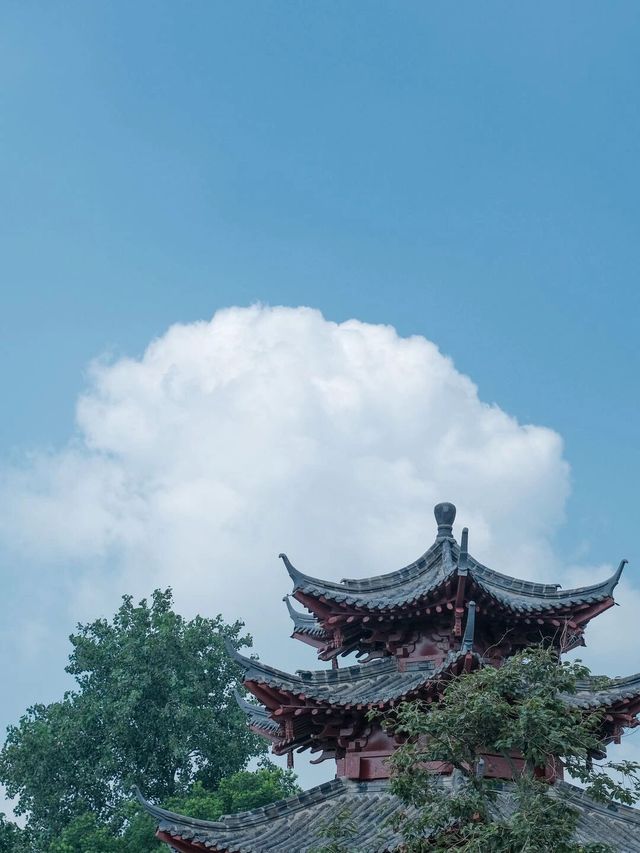 這個夏天超舒服的旅遊地