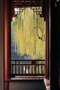 發現上海｜奉賢古華園，這裡的紅葉也很美