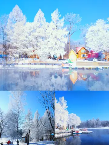 這裡不是童話夢境,這裡是冬天的吉林