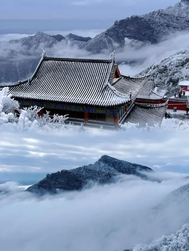 You should visit Fanjing Mountain at least once this winter