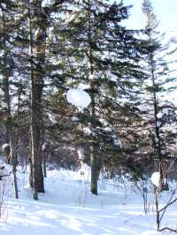 原來姊也能過雪山的