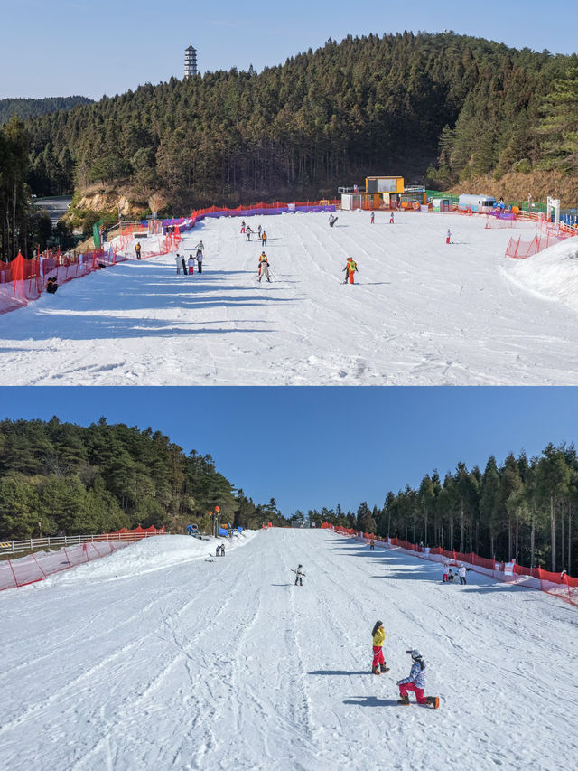 冬遊江西明月山，旅行體驗精彩紛呈