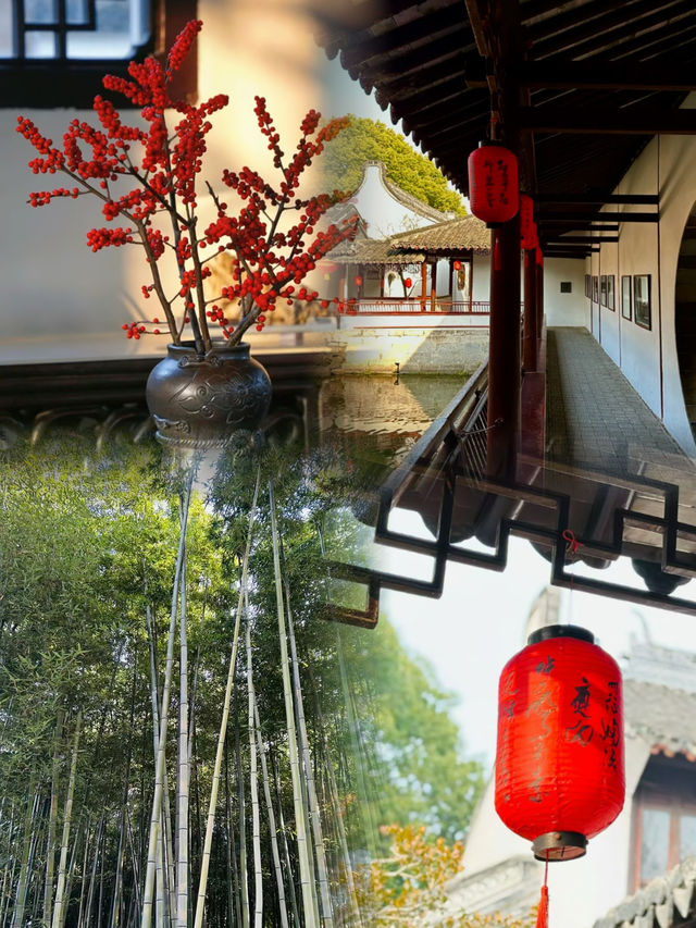 上海醉白池公園｜一百四十年的蠟梅花開了