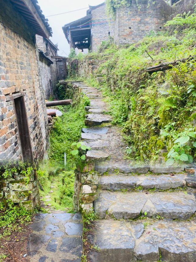 不需要去貴州，廣東也有萬峰林裡的千年古村