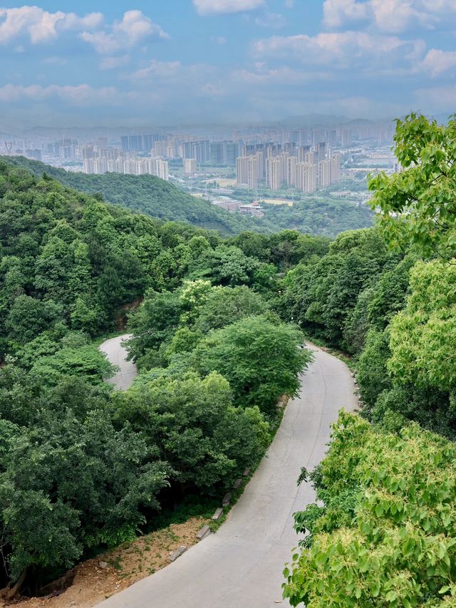 先照寺的遊玩攻略