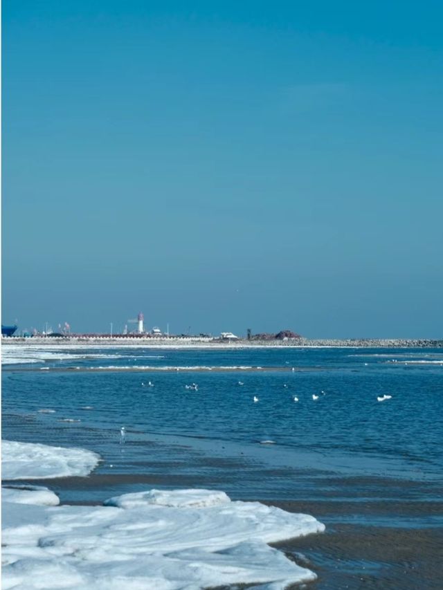 河北秦皇島 | 冬季的景色美出天際堪稱一絕 河北秦皇島 | 冬季的景色美出天際堪稱一絕
