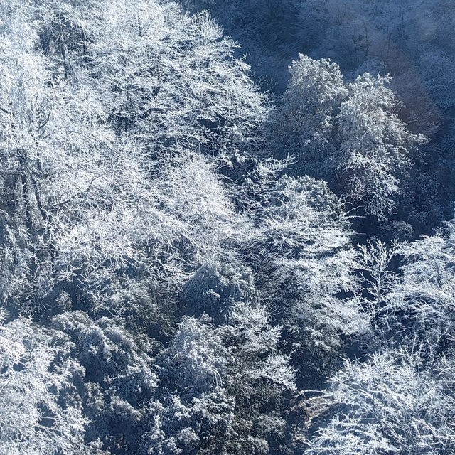 江西宜春溫湯鎮，爬完明月山，再去泡溫泉！