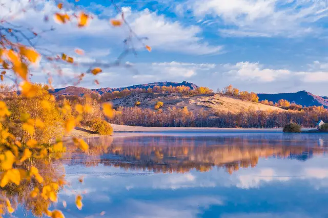 Life advice: Be sure to visit Inner Mongolia to see the autumn fairy tale in September and October