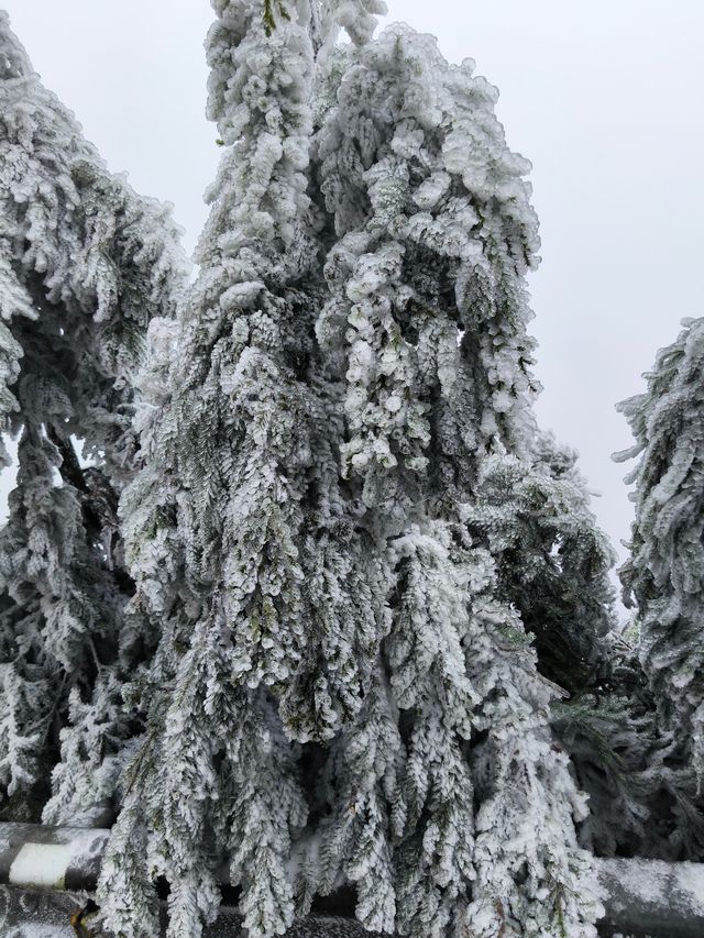 雲冰山