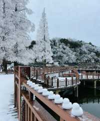 九宮山初雪|武漢周邊不容錯過的霧凇美景