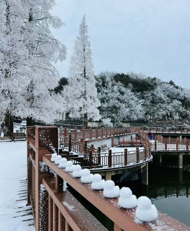 九宮山初雪|武漢周邊不容錯過的霧凇美景