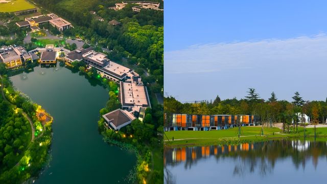 上海周邊住進森林裡吸飽清新