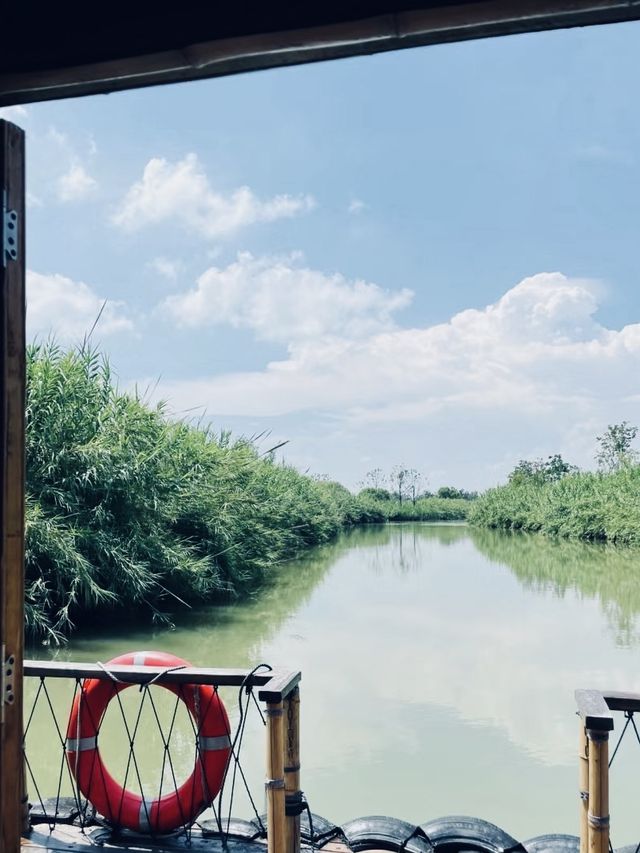 洪澤湖濕地宿遷絕美水上森林