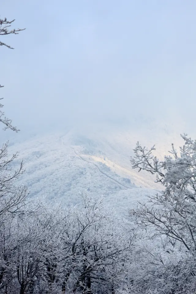 不是四姑娘山去不起，而是龍王山更有性價比