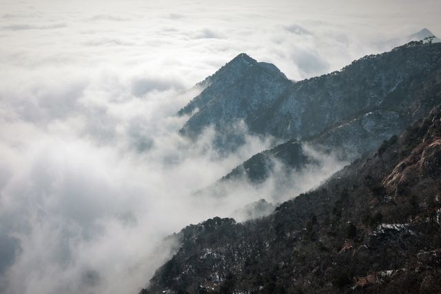 冬日泰山盛宴，美景等你來解鎖！