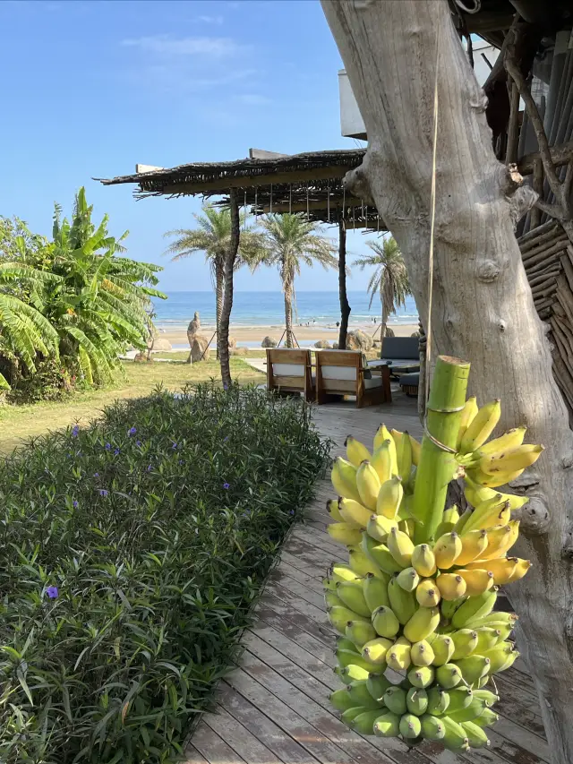 Treasure Seaview B&B discovered on Weizhou Island