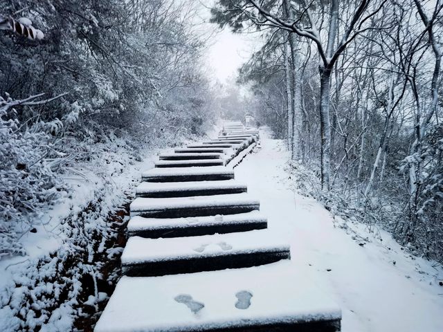 你想知道的都在這明月山