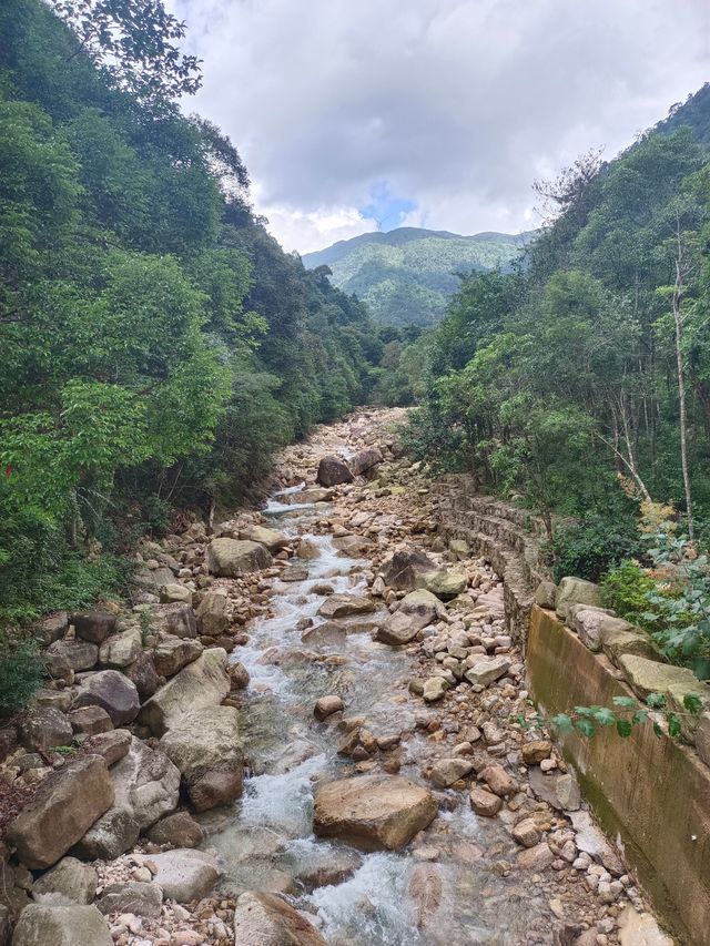 姑婆山位於廣西東北部；湘、桂、粵三省交界處的萌諸嶺南端廣西賀州市境內，距市區（八步）中心僅26公里，地處香港--廣州--桂林黃金旅遊線中間站上，總面積8000公頃，具有峰高谷深、山勢雄偉、森林繁茂、動植物資源豐富、瀑飛溪潺、環境幽雅等特點，集“雄、奇、秀、幽”於一體，兼有山水型、城郊型公園之特點