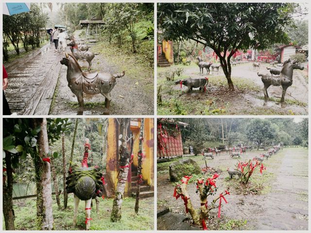 感受台版的尼加拉大瀑布∽十分瀑布公園