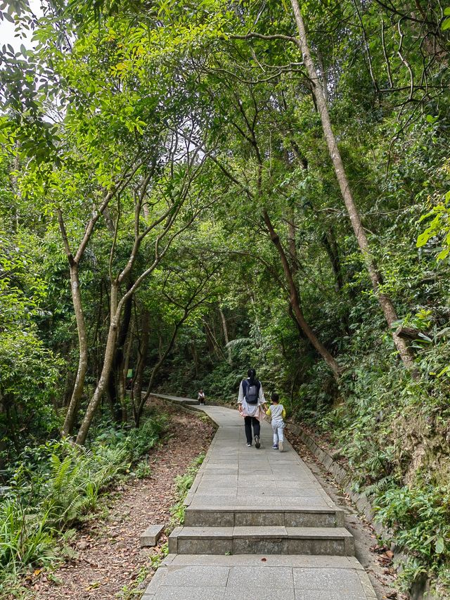 898米，東莞第一峰