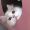 Cook_Cathy_43