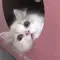 Cook_Cathy_43