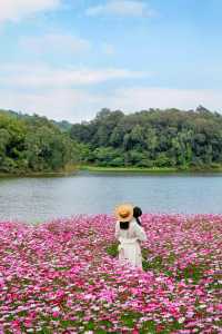來看廣州版「芳草鮮美 落英繽紛」
