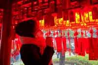 龍年正月十五 玉佛禪寺祈福