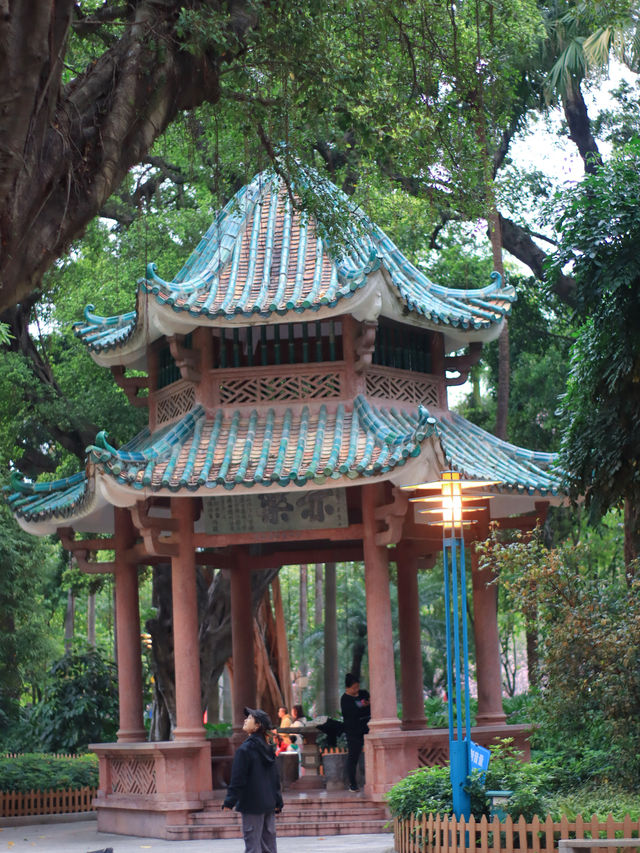 佛山｜中山公園｜嚴重被低估的小眾寶藏公園