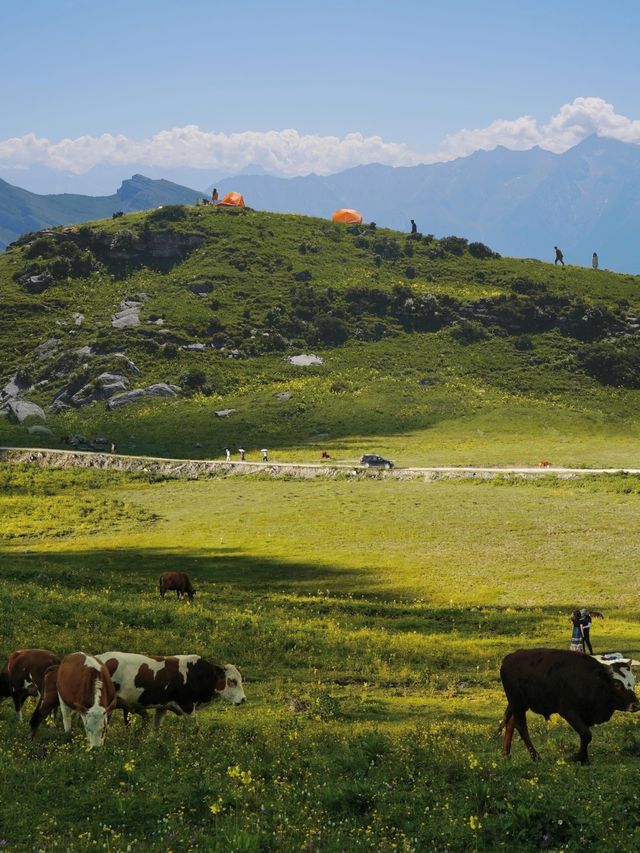 夏天川西必去的地方—九顶山