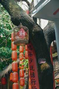 山城步道沿途可以欣賞到重慶的山城風光