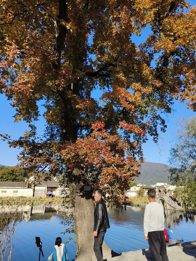 宏村是中國傳統建築的一顆明珠