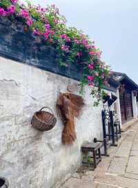擁有2000多年歷史的古鎮，震澤——著名的蠶絲之鄉！