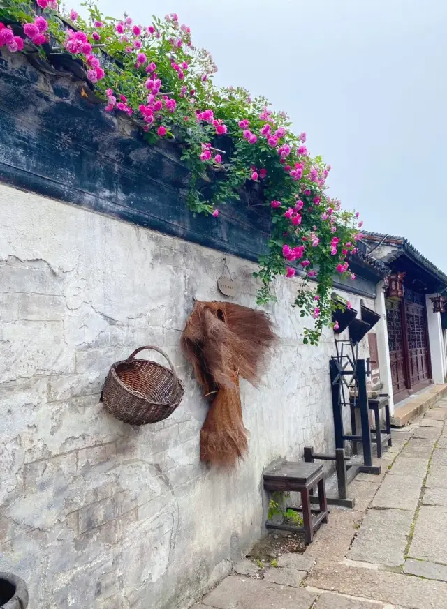 Zhenze, a historical town with over 2000 years of history, is renowned as the hometown of silk!