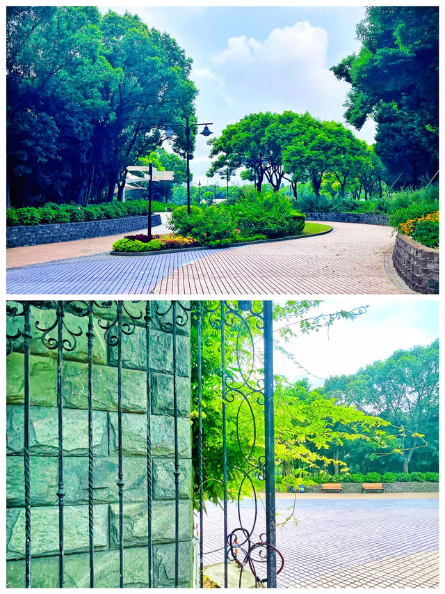 今夏，世紀公園「芳花園」卸下一千米的圍牆，與周邊街區融為一體！