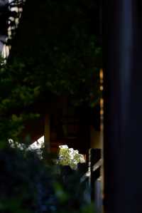 春和景明不僅是禪意遇見寧靜角落 廈門石室禪院