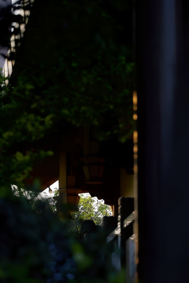 春和景明不僅是禪意遇見寧靜角落 廈門石室禪院