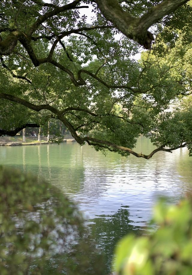 接下來的杭州，堪稱春日旅遊天花板！