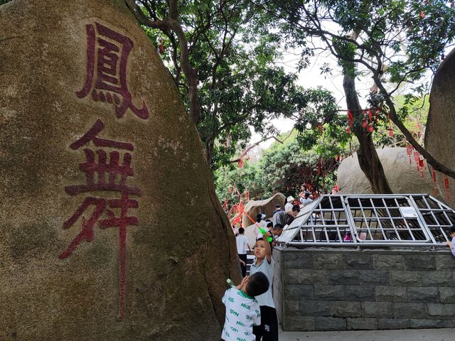 攀登深圳十峰之一的鳳凰山