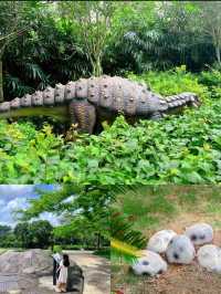 免費免預約人少深圳遛娃一定要去的恐龍博物館