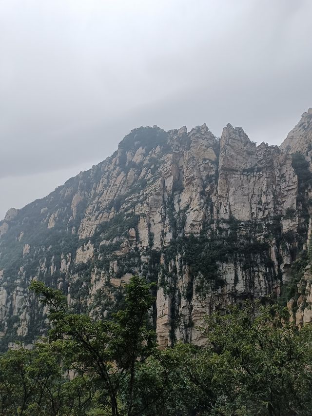 煙雨急行登嵩山