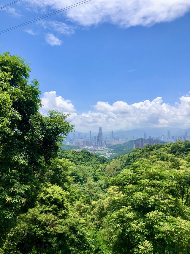 銀湖山郊野公園