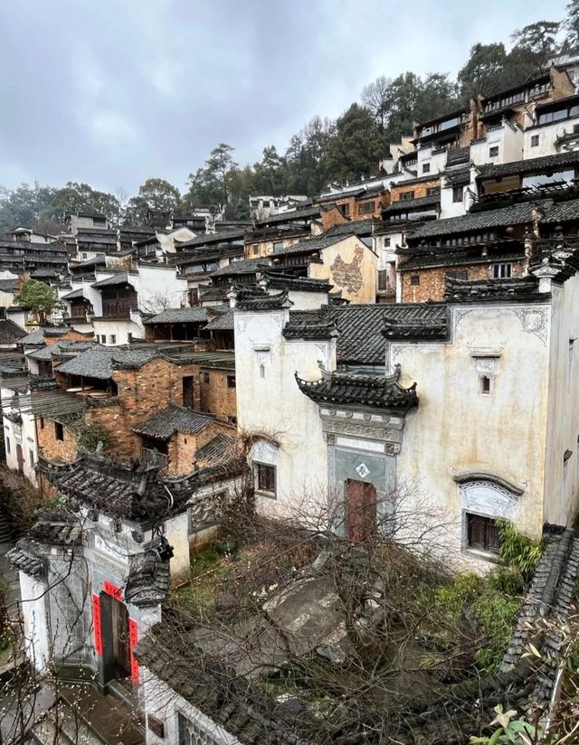 三月賞花去篁嶺，萬畝油菜花海