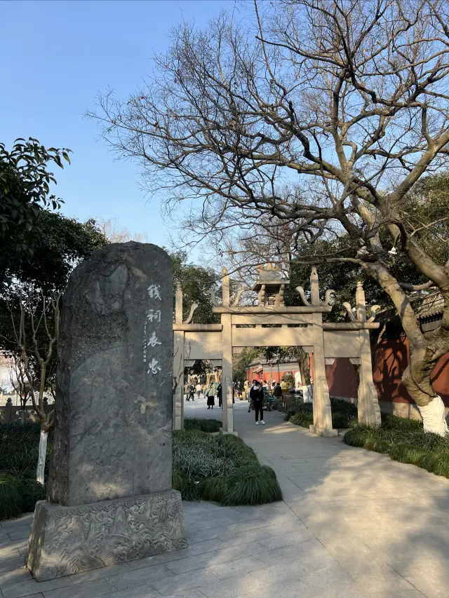 Hangzhou Qianwang Temple | The wintersweet is fading, but the white plum blossoms have bloomed~