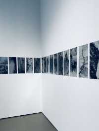 在青島,這裡的展真的每次都有的拍