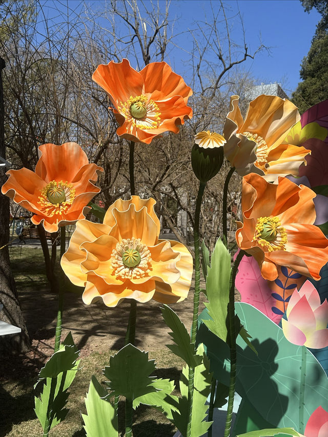 暖春初陽照，花明色欲紅