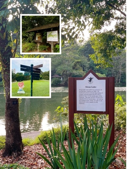 Famous Singapore Botanic Gardens♥️🇸🇬 | Trip.com Singapore
