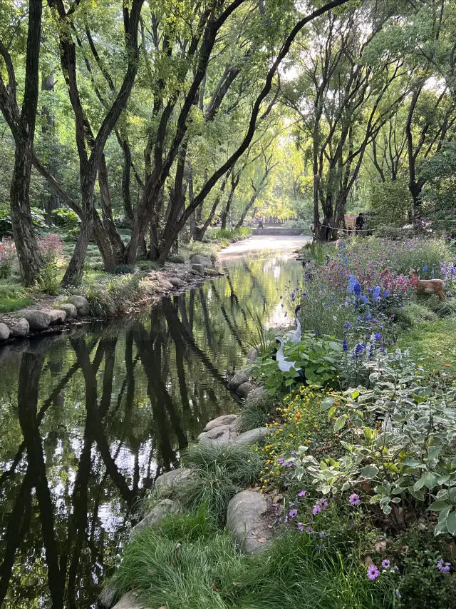 まだ共青森林公園に行ったことがない人はいますか？上海郊外に隠れた桃源郷です